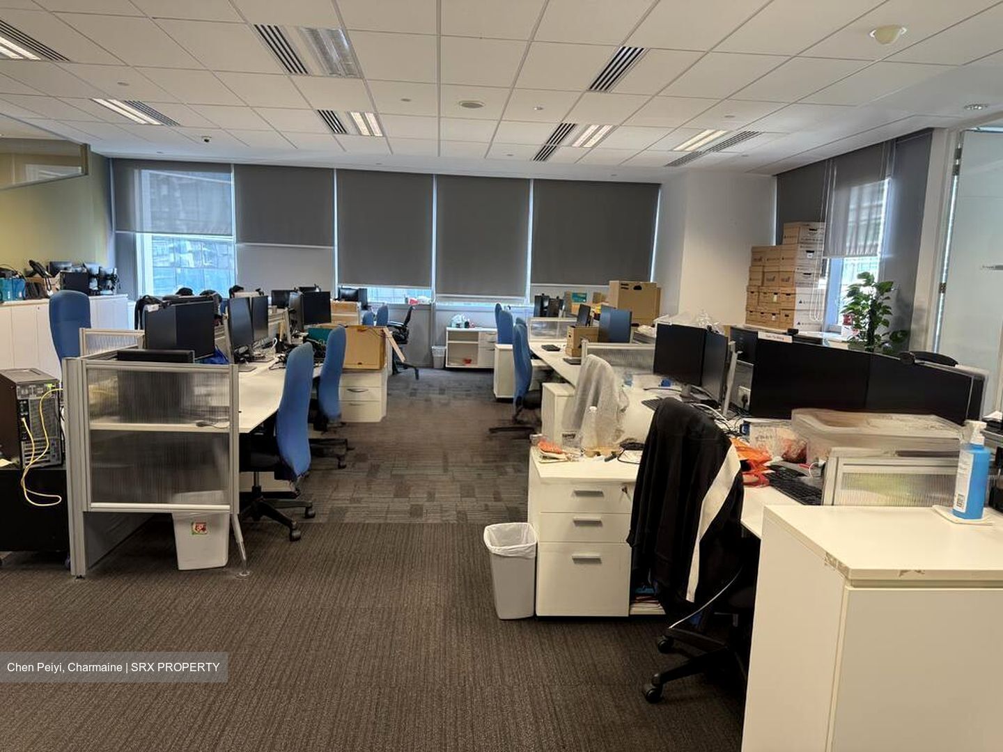 Mapletree Anson (D2), Office #451553941